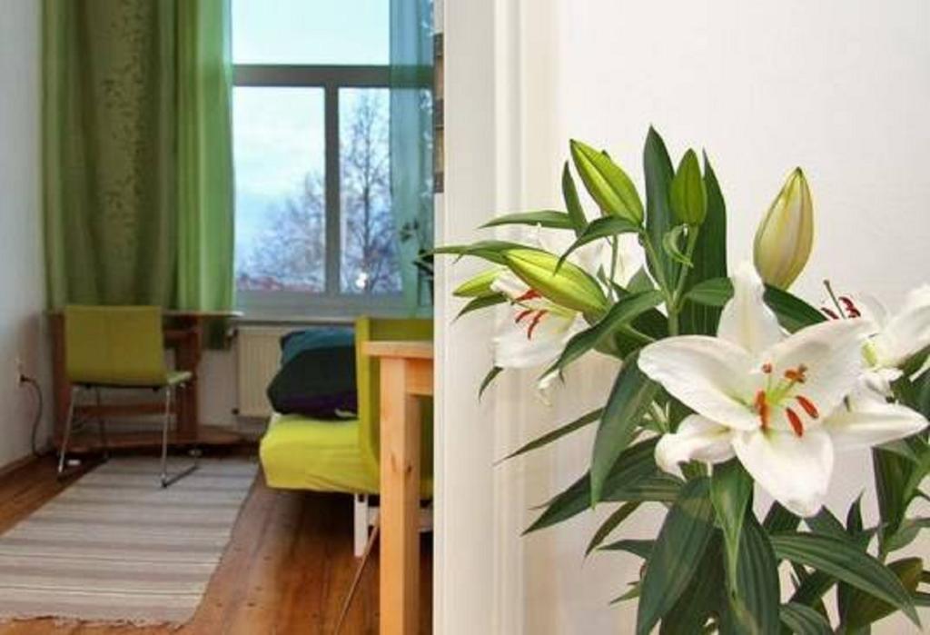 Private Gastezimmer Bei Ila Zimmerling Dresde Habitación foto
